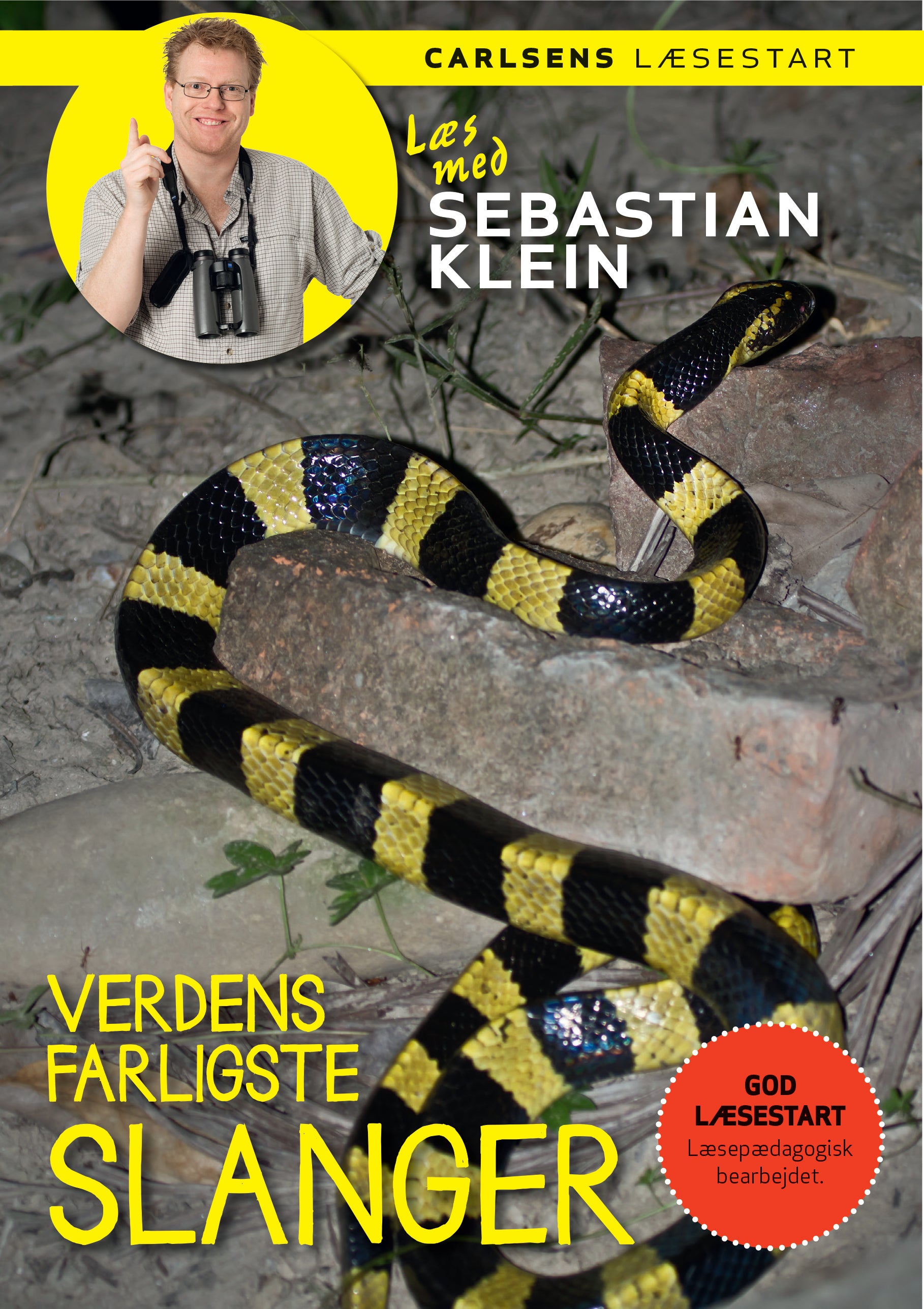 Forside billede